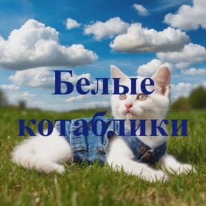 Белые котаблики