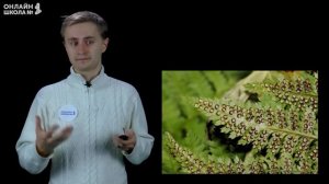 Урок 19. Бесполое и половое размножение. Биология 10 кла?