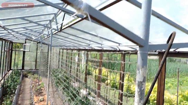 Простая вентиляция теплицы смотреть онлайн