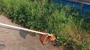 Триммер: PATRIOT-4555 ES.Небольшой обзор.