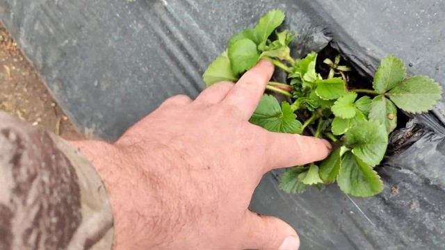 Балаганы 14.03.23 смотреть онлайн