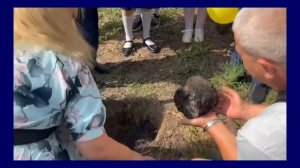 Видео от Поделись позитивом с Тольятти! (1-7 сентября)