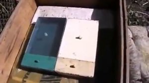 выбор ульевой кормушки для подкормки пчел в зиму - час?