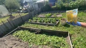 Теплая грядка для АРБУЗОВ и других овощных культур