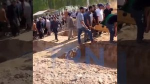 Женщину и троих её детей убили в их доме в селе Дарьюбад района Рудаки