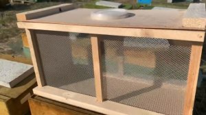 Бессотовый пчелопакет. Обзор. Купить бессотовый пчело