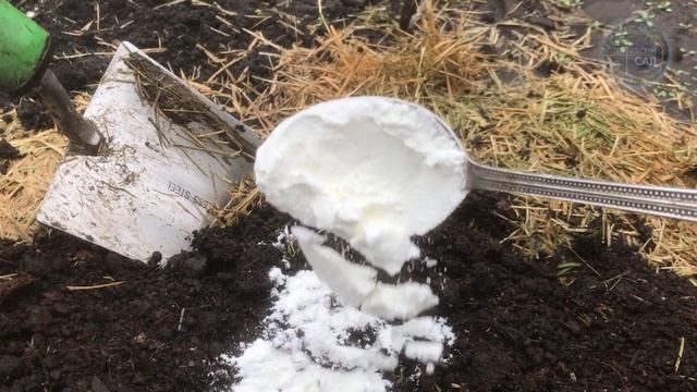 Всего 1 Ложку и земля как новая! Уничтожает любые бакте смотреть онлайн