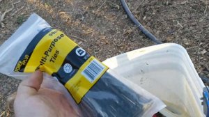 Первые прививки инжира сезона 2023 года Мой метод закре?