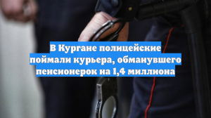 В Кургане полицейские поймали курьера, обманувшего пенсионерок на 1,4 миллиона