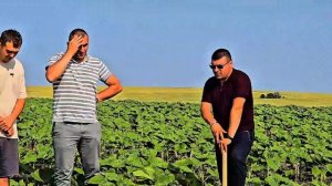 Честный отзыв агронома про посев с жидкими удобрениям