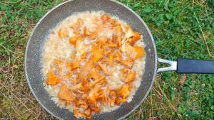 Лисички в сметане