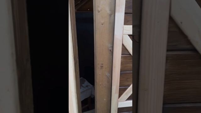 ВЫХОДНЫЕ НА ДАЧЕ В НОЯБРЕ.кормим птиц и наслаждаемся х смотреть онлайн