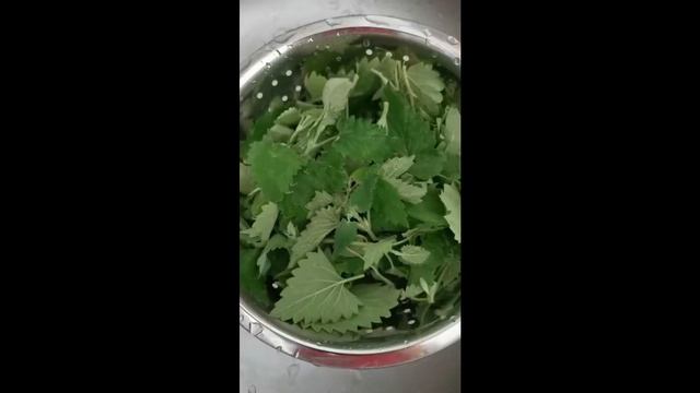 Как сушить мелиссу смотреть онлайн