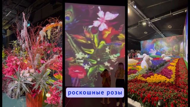 Цветочная феерия🌸в Тель-Авиве: Мир цветов🌼в полном ? смотреть онлайн