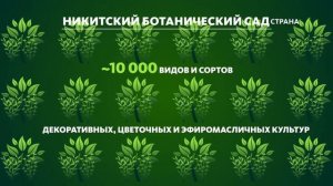 Никитский ботанический сад | Природа | Телеканал "Стра?