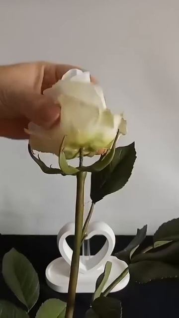 Ты точно декоратор_ Пройди тест и проверь! #мастеркласс #цветыизфоамирана смотреть онлайн