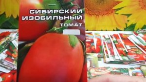 КАКИЕ ТОМАТЫ ВЫБРАТЬ? СОРТ СИБИРСКИЙ ИЗОБИЛЬНЫЙ. Обзо?
