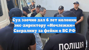 Суд заочно дал 6 лет колонии экс-директору «Ночлежки» Свердлину за фейки о ВС РФ