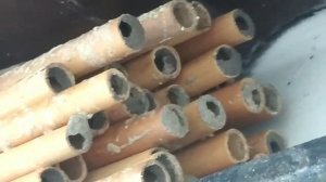 Осмии. Разведение пчёл одиночек для опыления сада.