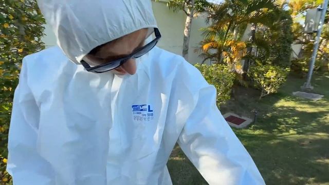 ✅Нашли УЛЕЙ ДИКИХ ПЧЁЛ ОГРОМНЫЙ 🐝ИСКУСАЛИ прям на ДЕ смотреть онлайн