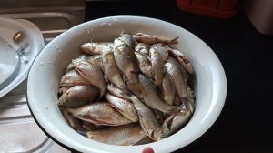 Отмываю окна от малярного скотча. Папа на рыбалке. С Анютой в больнице под капельницей 😔