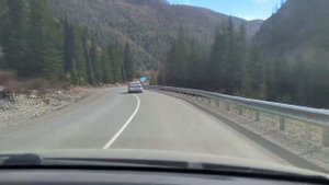 Алтай, в поисках маральника