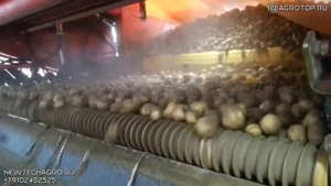 Протравливатели картофеля, яблок перед хранением