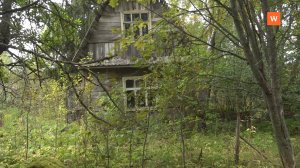 Программа «Город. Новости по-выборгски» от 9 сентября 2025 года