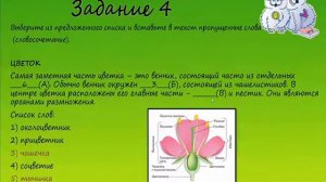 Биология. Разбор варианта ВПР по биологии 6 класс. Вари