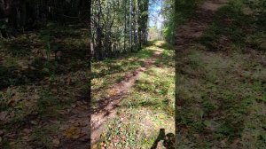 Вызываем слендермена