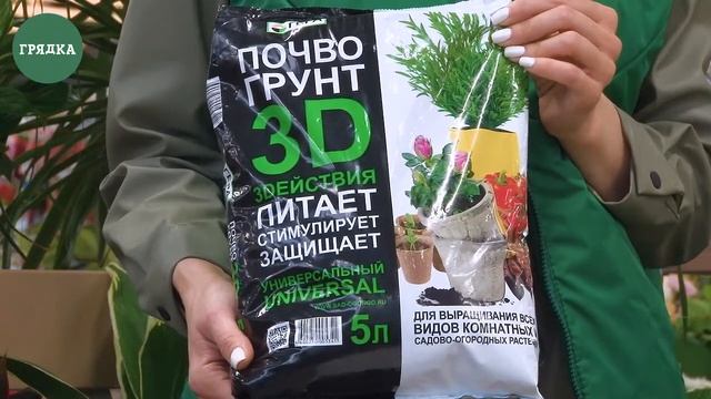 Выбираем грунт для рассады смотреть онлайн
