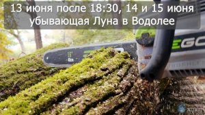 ЛУННЫЙ ПОСЕВНОЙ КАЛЕНДАРЬ НА ИЮНЬ 2025