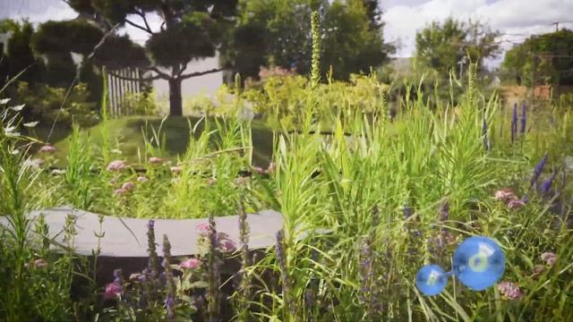 День воды 2019 - Всероссийский конкурс монтажа системы п