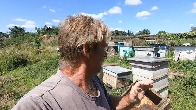 Пчёлы слетели#пчеловодство смотреть онлайн