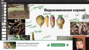 7.27. Видоизменения корней и функции корня | Ботаника к