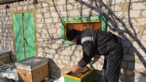 Зимовка пчел. Когда ставить пчел в зимовник
