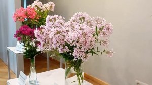 Выставка флоксов 2025, Рига Flokši 2025, Rīga