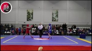 IX Международный турнир по ушу "Московские зведы ушу", 2024. Фрагменты поединков ушу-саньда. Часть 2