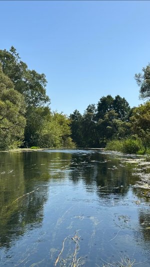 СПЛАВ ПО РЕКЕ РАНОВА НА БАЙДАРКЕ. День первый.