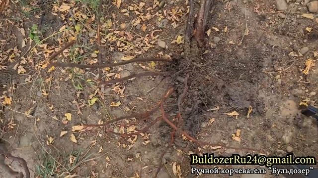 Ручной корчеватель 