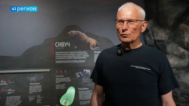 КОЛИЧЕСТВО ЩЕНКОВ СИВУЧЕЙ РАСТЁТ У БЕРЕГОВ КАМЧАТКИ ? смотреть онлайн