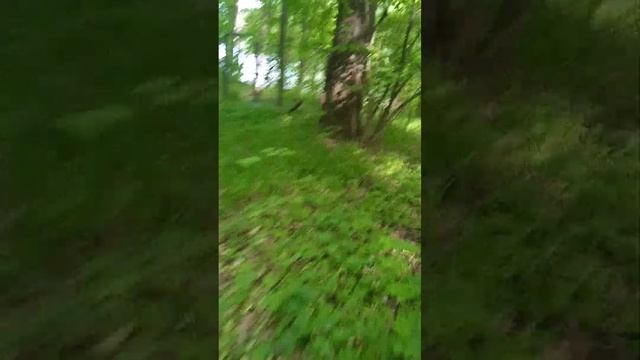 Часть 1/2 гуляем в лесу. Амбар, забор, калитка. смотреть онлайн