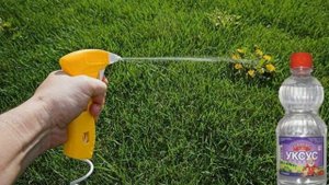 Народное средство, искореняющее все сорняки