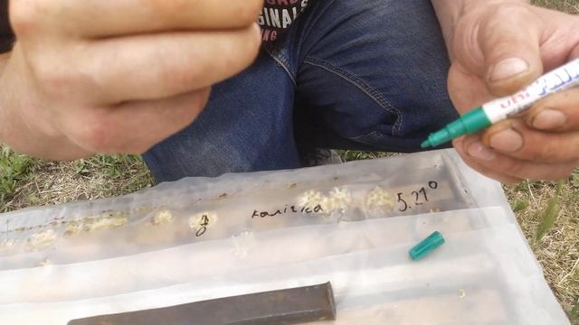 Відбір плідних маток бакфаст з нуклеуса. смотреть онлайн