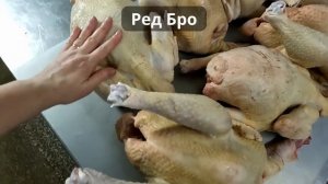 Самый быстрорастущий цветной бройлер. Мастер Грей или