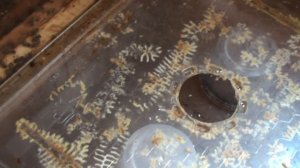 Установка кормушки пчел "Василек " в 20-рамочный улей ле