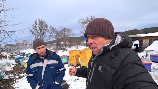 ПЕРВЫЕ НЕОБХОДИМЫЕ ВЕСЕННИЕ РАБОТЫ ПОСЛЕ ВЫСТАВКИ ПЧ? смотреть онлайн