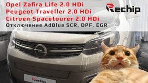 Отключение мочевины, сажевого фильтра, Eolys и EGR Peugeot Traveller, Citroen Spacetourer Rechip