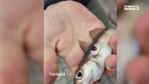 Сибирский лов. Выпуск 82