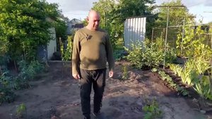 Почему не растёт молодой виноград???